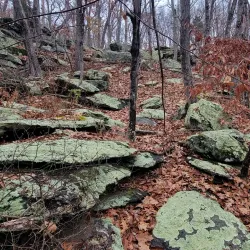 Natick Mill - West Warwick