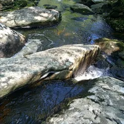 Natick Mill - West Warwick