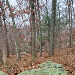 Natick Mill - West Warwick