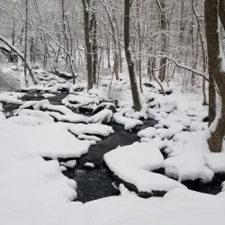 Natick Mill - West Warwick