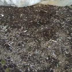 West Warwick Historical Society Museum - West Warwick