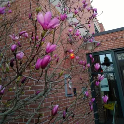 West Warwick Public Library - West Warwick