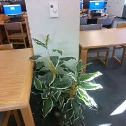 West Warwick Public Library - West Warwick