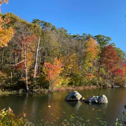 Lincoln Woods State Park (nearby) - Woonsocket