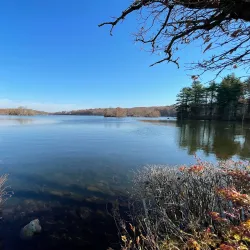 Lincoln Woods State Park (nearby) - Woonsocket