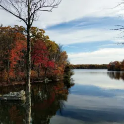 Lincoln Woods State Park (nearby) - Woonsocket