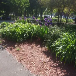 River Island Park - Woonsocket