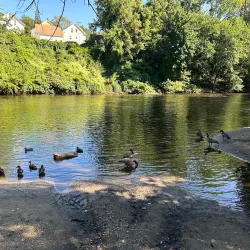 River Island Park - Woonsocket