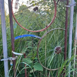 Woonsocket Farmers Market - Woonsocket