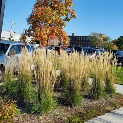 Woonsocket Farmers Market - Woonsocket