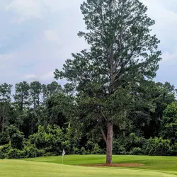 Aiken Golf Club - Aiken