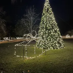 Aiken Thoroughbred Racing Hall of Fame and Museum - Aiken
