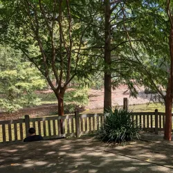 Aiken Thoroughbred Racing Hall of Fame and Museum - Aiken