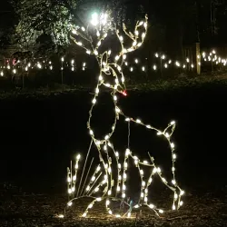 Aiken Thoroughbred Racing Hall of Fame and Museum - Aiken
