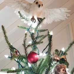 Aiken Thoroughbred Racing Hall of Fame and Museum - Aiken