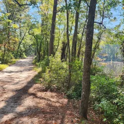 Hitchcock Woods - Aiken