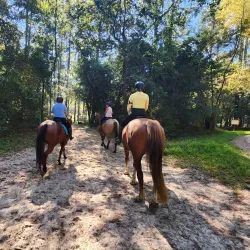 Hitchcock Woods - Aiken