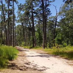 Hitchcock Woods - Aiken