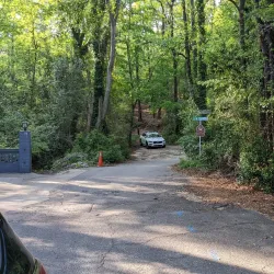 Hitchcock Woods - Aiken