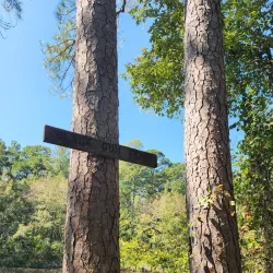 Hitchcock Woods - Aiken