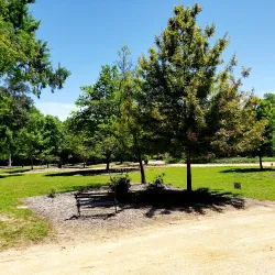 Hopelands Gardens - Aiken