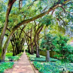 Hopelands Gardens - Aiken