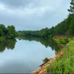 Silver Bluff Audubon Center and Sanctuary - Aiken