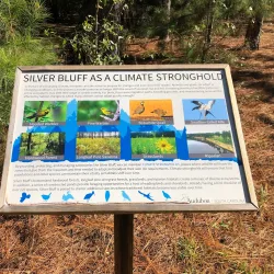 Silver Bluff Audubon Center and Sanctuary - Aiken