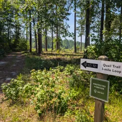 Silver Bluff Audubon Center and Sanctuary - Aiken