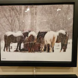 The Aiken Center for the Arts - Aiken