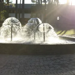 University of South Carolina Aiken - Aiken