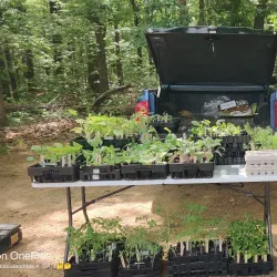 Anderson County Farmers Market - Anderson