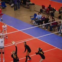 Anderson Sports and Entertainment Center - Anderson