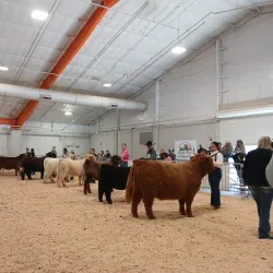 T. Ed Garrison Arena - Anderson