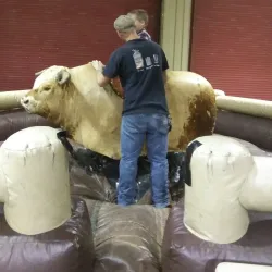 T. Ed Garrison Arena - Anderson