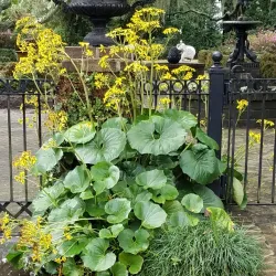 Beaufort Historic District - Beaufort