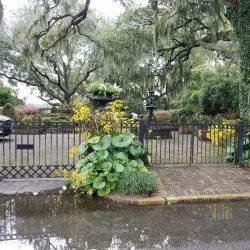 Beaufort Historic District - Beaufort