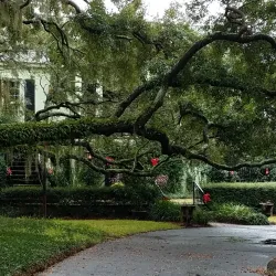 Beaufort Historic District - Beaufort