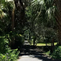 Beaufort Historic District - Beaufort