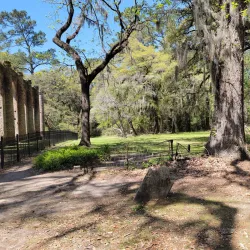 Old Sheldon Church Ruins - Beaufort