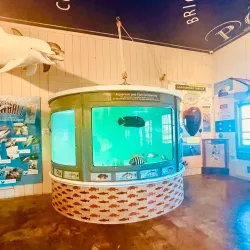 Port Royal Sound Maritime Center - Beaufort