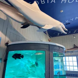 Port Royal Sound Maritime Center - Beaufort