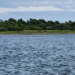 Rachel Carson Salt Marsh Nature Trail - Beaufort