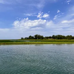 Rachel Carson Salt Marsh Nature Trail - Beaufort