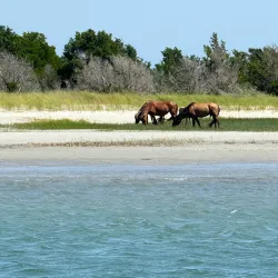 Rachel Carson Salt Marsh Nature Trail - Beaufort