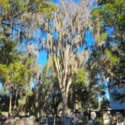 St. Helena's Episcopal Church - Beaufort