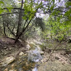 Cherokee Springs Park - Belton