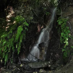 Cherokee Springs Park - Belton