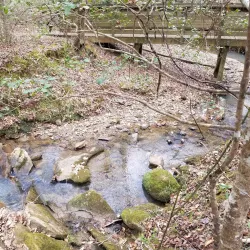 Black Creek Heritage Preserve - Blacksburg