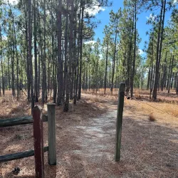 Cheraw and Chesterfield Railroad Trail - Blacksburg